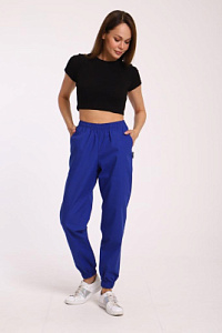 Брюки женские 221 ТС. Цвет: синий